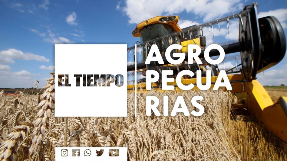 Las siembras de soja y maíz lograron avanzar en lotes con buena humedad