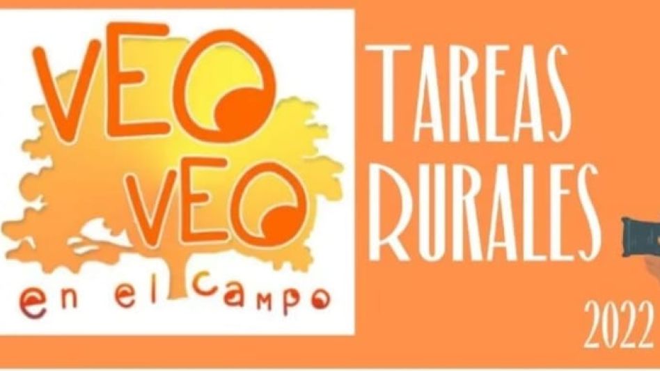 Qué hacer en los próximos días