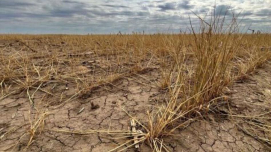 El gobernador Axel Kicillof declaró el estado de Emergencia y/o Desastre Agropecuario por sequía para 33 municipios bonaerenses. 