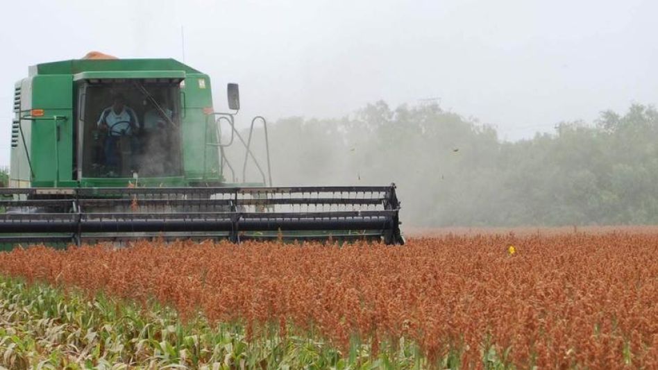 La siembra de lotes de sorgo granífero continuó en toda el área agrícola nacional, aunque la falta de humedad, hace que marche lenta.