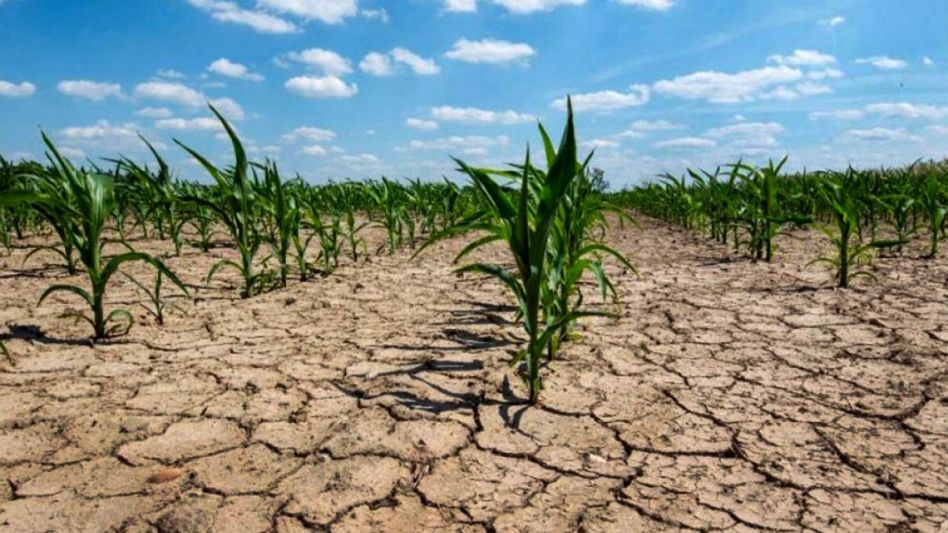 Emergencia climática: productores de once partidos tendrán beneficios impositivos