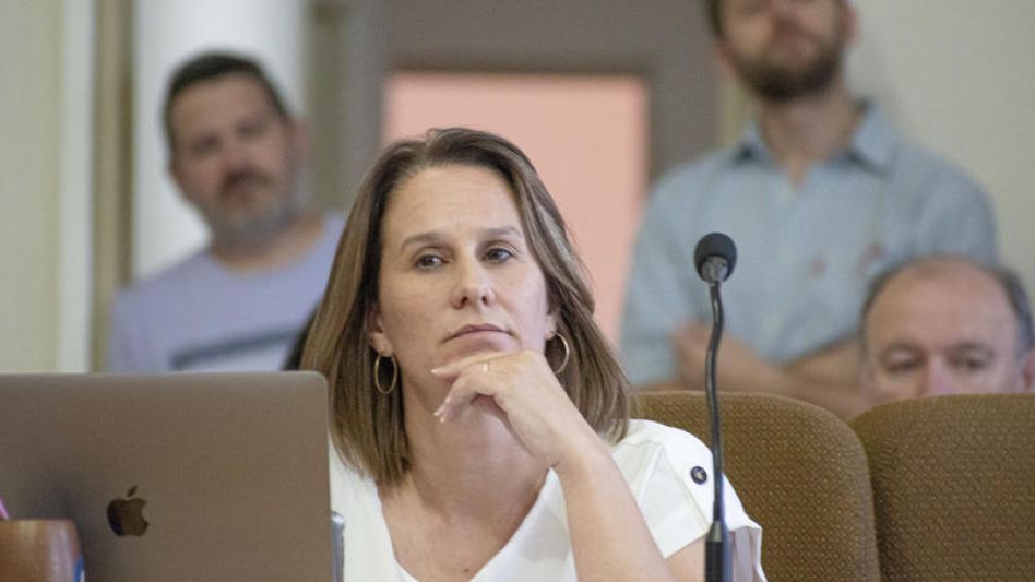 La concejala de Podemos Azul Natalia Colomé. ARCHIVO/EL TIEMPO/NICOLÁS MURCIA      