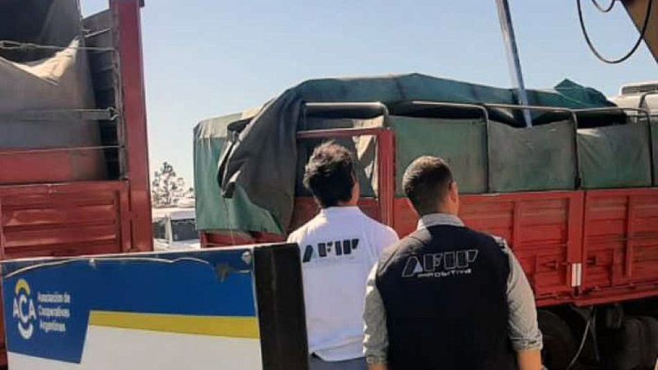 La AFIP incautó 18 camiones con más de 600 toneladas de granos provenientes de productores apócrifos