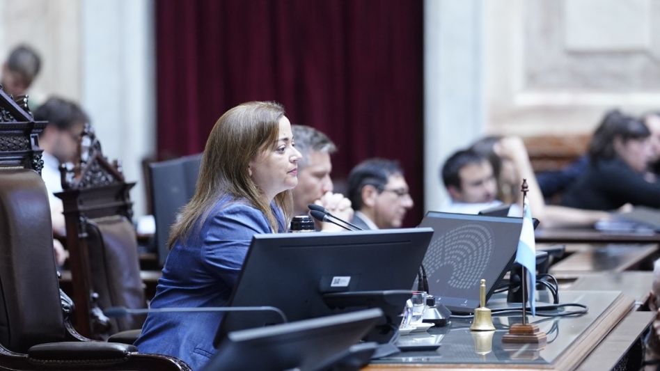 Moreau llamó a tratar de manera urgente el Plan de Pago de Deuda Previsional 