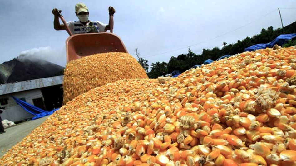El Gobierno comenzó a pagar compensaciones a pequeños productores de soja y maíz