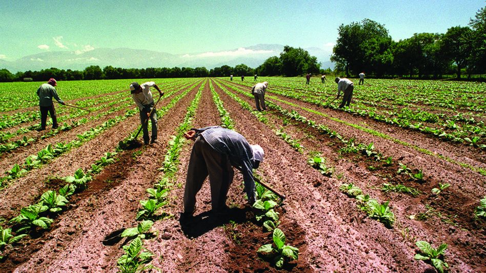 Oficializan el pago de un bono adicional de $26.000 para trabajadores rurales