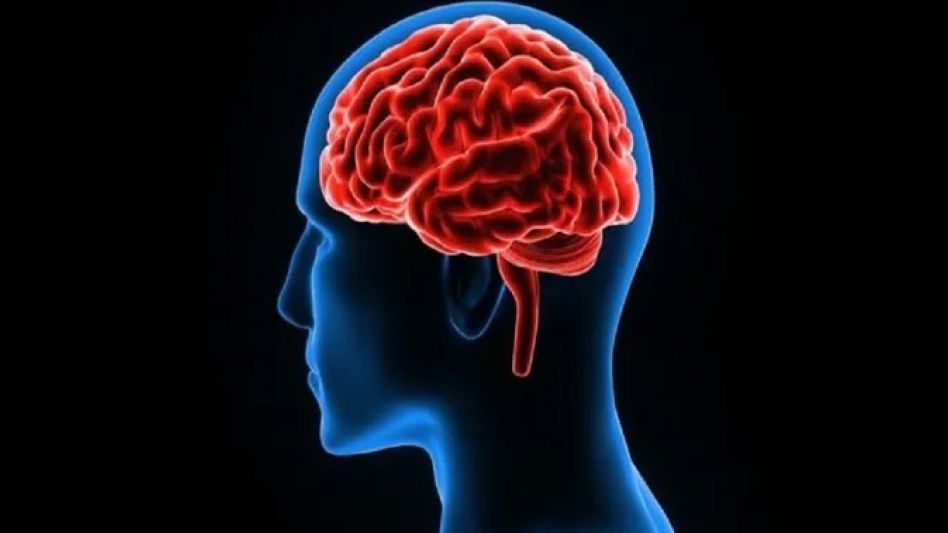 Cuidar la salud del cerebro: los 10 hábitos que debemos tener en cuenta