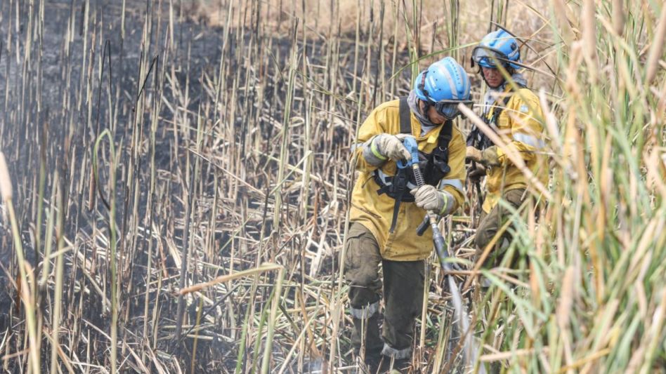 Campaña para prevenir incendios forestales: recomendaciones y contactos útiles
