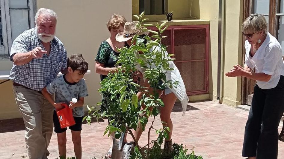 Un momento que refleja la tarea de plantar en el patio del Museo López Claro el emblemático árbol de ese lugar.  PRENSA MUNICIPAL 