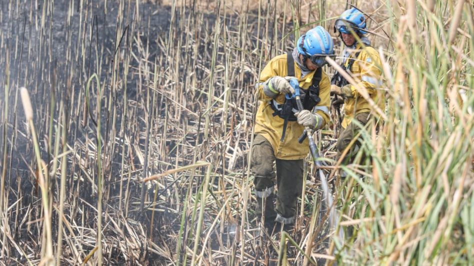 Campaña para prevenir incendios forestales: recomendaciones y contactos útiles