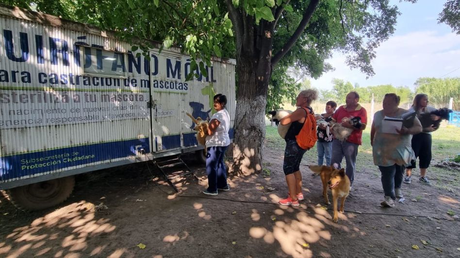 Sanidad y control animal: Jornada de castración