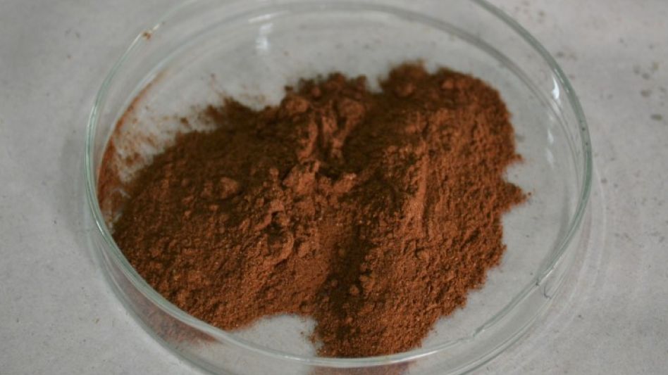 Investigadores del INTA y el INTI elaboraron alimentos utilizando polvo de grillos