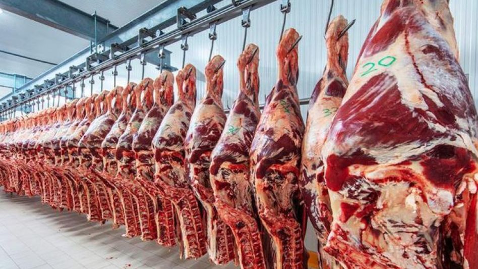 La bajada de la media res en las carnicerías, va a aumentar alrededor de $1.000 y, los precios al mostrador mostrarán subas en la misma proporción, se afirmó.