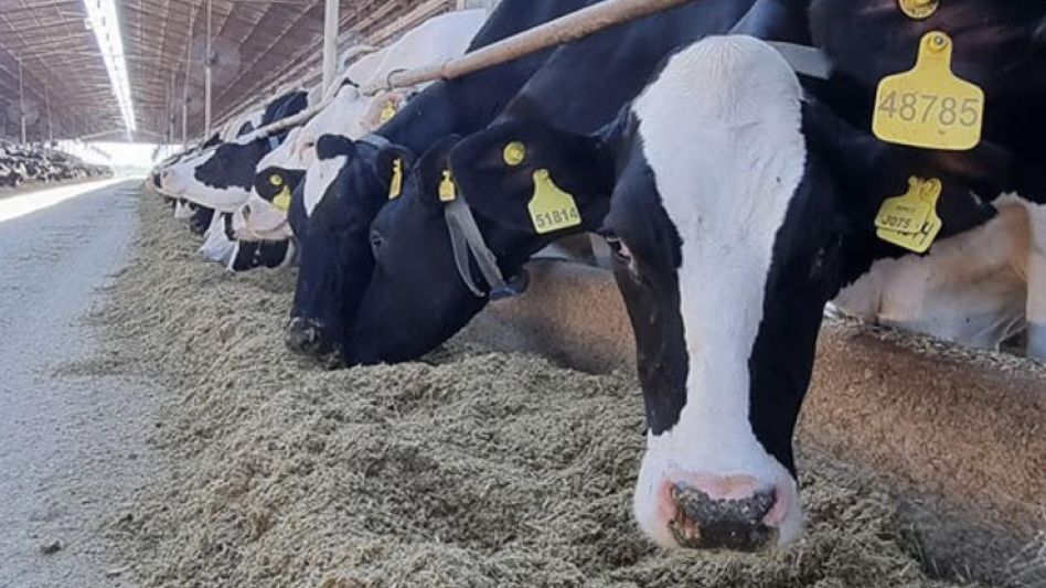 Los tambos continúan enfrentando escasez de mano de obra, y los costos de energía y fertilizantes se dispararon.