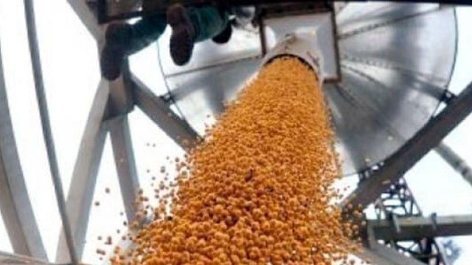 Las exportaciones agropecuarias crecieron más del 8%
