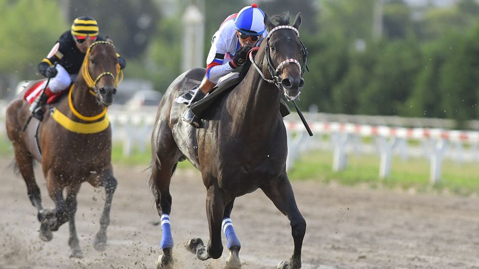 El caballo de Azul intentará retomar la senda del triunfo, otra vez con Brian Enrique. Foto: internet.