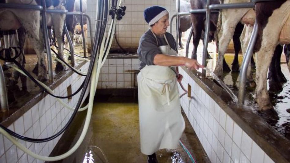 Piden a Kicillof que apoye el reclamo llevado adelante por los productores lecheros radicados en la Provincia de Buenos Aires.