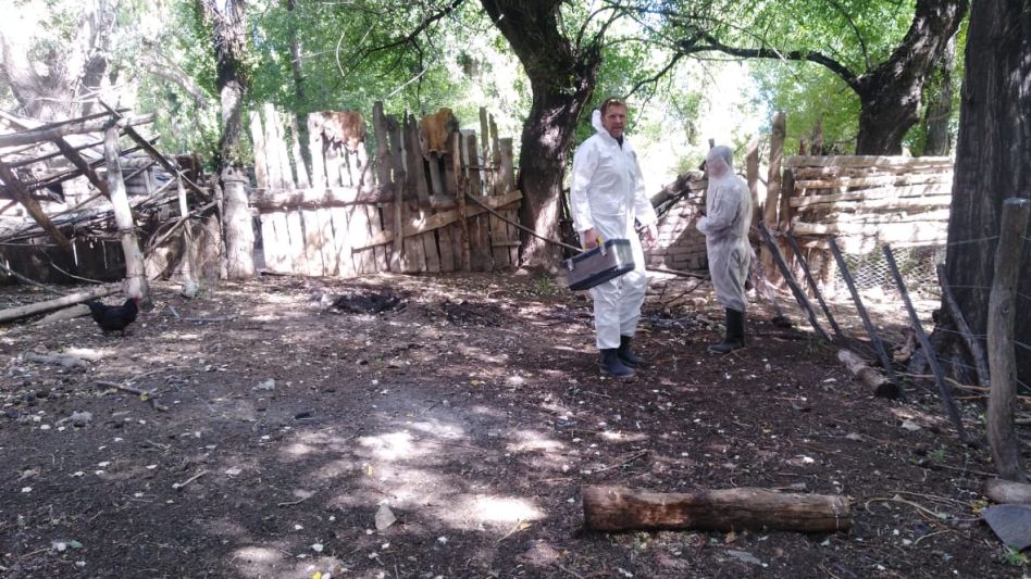 Detectan gripe aviar en Azul y ya son cuatro los municipios bonaerenses con casos