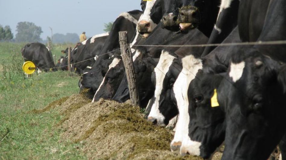 La producción nacional de leche atenuó su baja estacional de enero y se ubicó 3,5% arriba de la de 2022, se afirmó de una de las cámaras productoras.