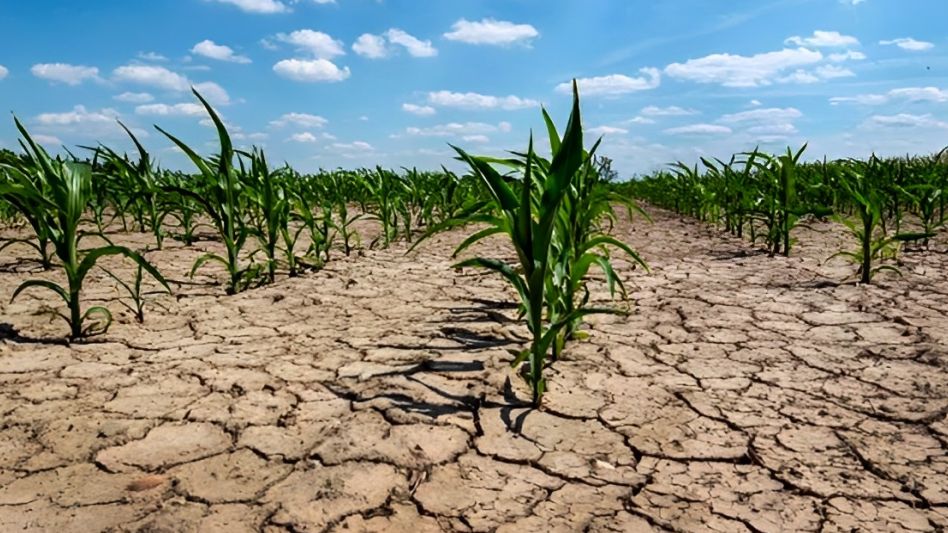 El Servicio Meteorológico Nacional anunció que el fenómeno La Niña llegó a su fin
