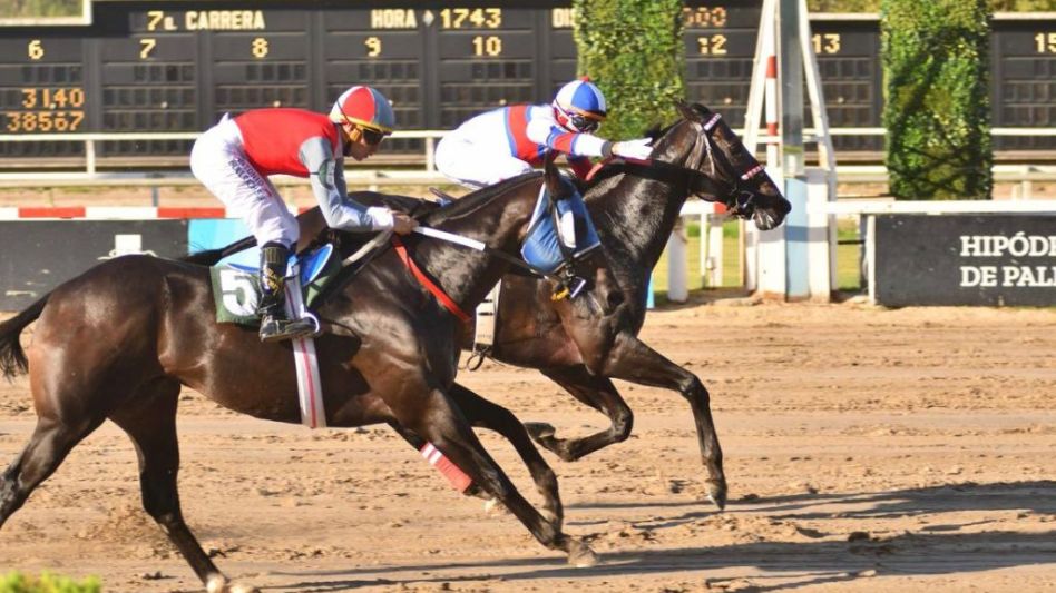 Por el pescuezo, Luthier Blues derrotó a Labrado y se quedó con el Clásico Irlanda (G3-1000 metros) disputado en el hipódromo de Palermo. Foto: GENTILEZA PASIONTURFISTICA