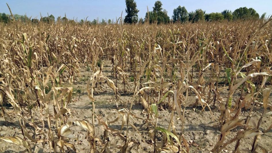 Afirman que el Estado municipal debe acompañar la recuperación de productores afectados por la sequía