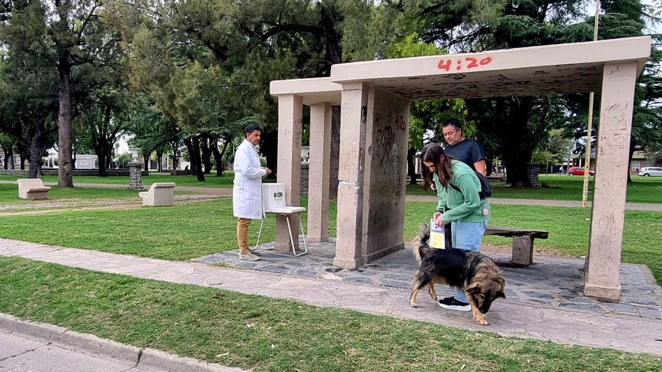 Comenzó una nueva campaña de vacunación antirrábica