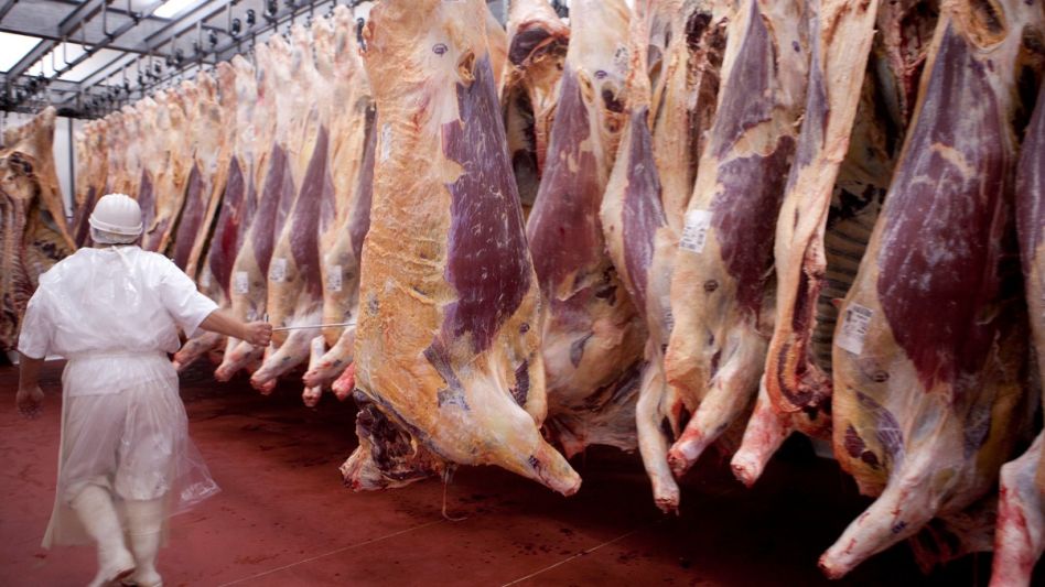Las exportaciones de febrero de 2023 alcanzaron un volumen cercano a las 51.500 toneladas peso producto de carne bovina refrigerada y congelada, por un total de 211,3 millones de dólares.