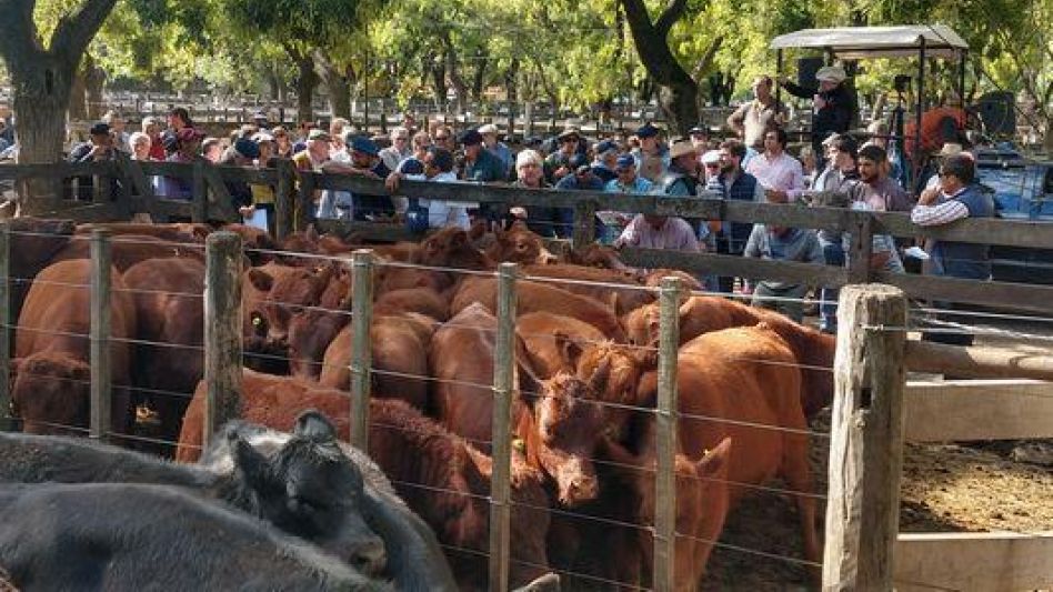 La ganadería, de fiesta en la Sociedad Rural local  
