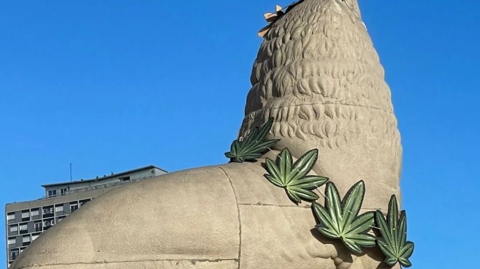 Sorpresa en Mar del Plata: un lobo marino de la Rambla amaneció con un collar de hojas de marihuana