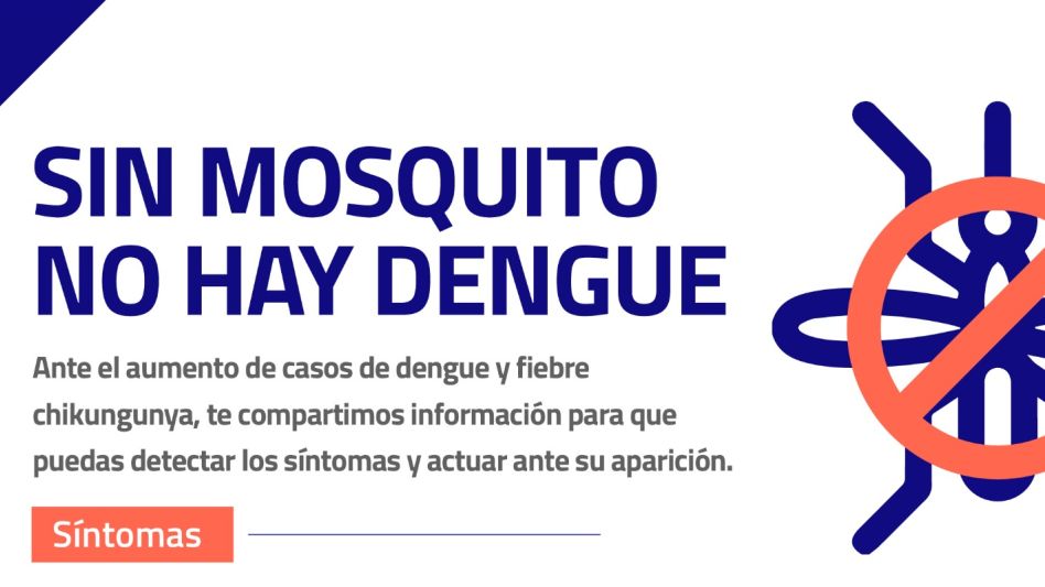 Información sobre Dengue y Fiebre Chikungunya