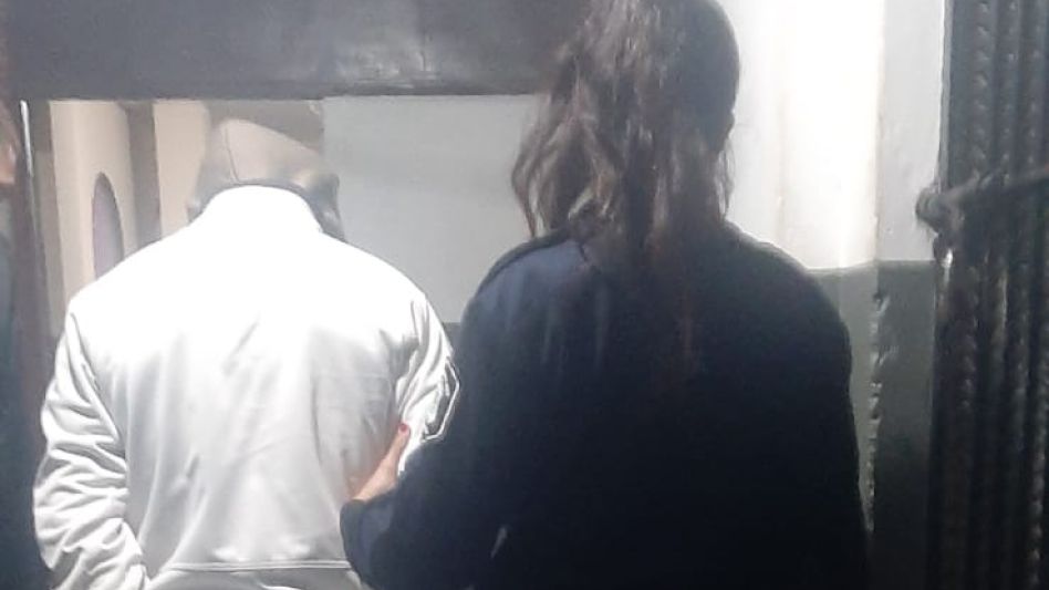  Jóvenes que intentaron robar plantas  de cannabis sativa quedaron detenidos 