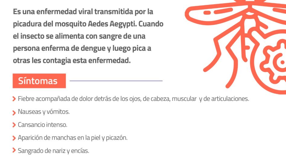 Dengue: Continúa la campaña de descacharreo