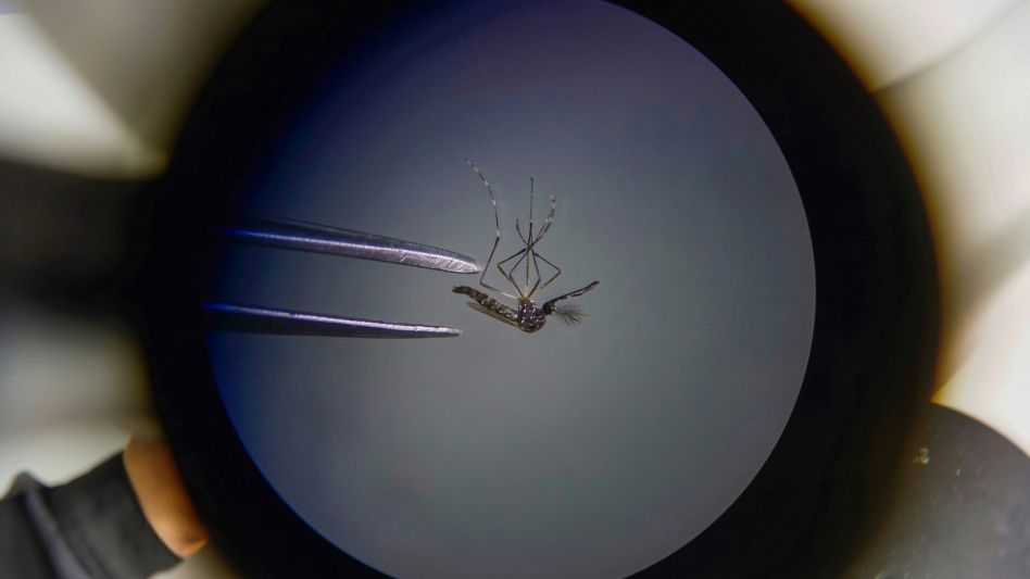 Dengue: los casos en provincia ya superan los 3.000 y piden continuar con la prevención pese al frío