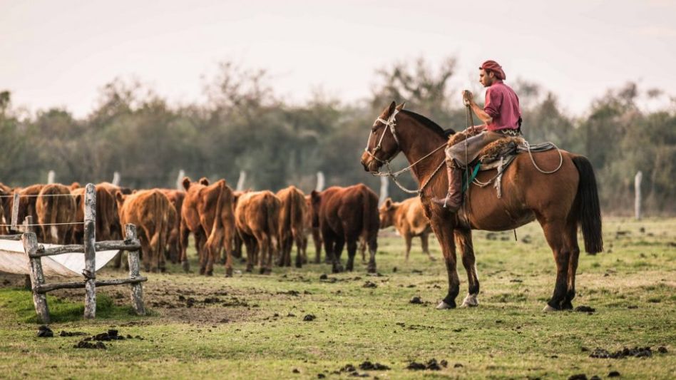 Financiarán proyectos para impulsar el arraigo rural de jóvenes