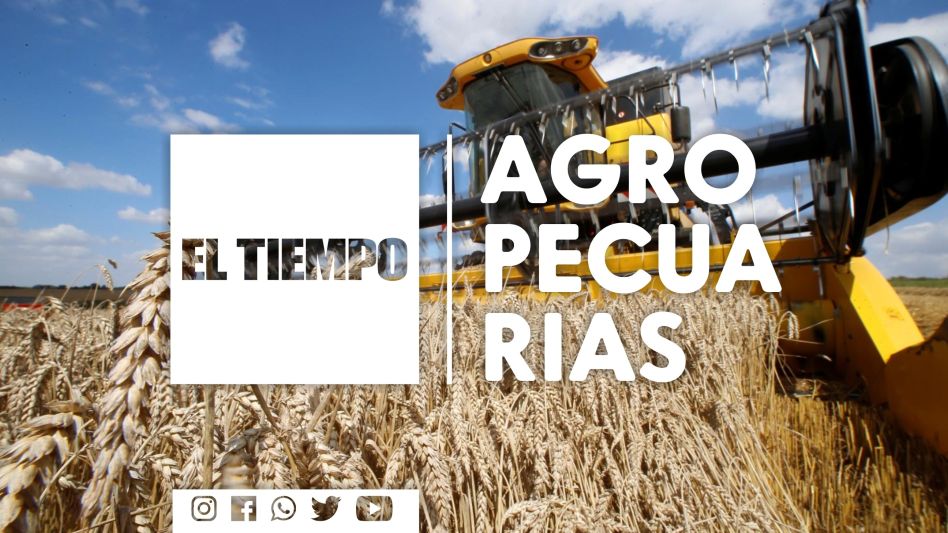 Bajó la superficie con sequía pero en el interior bonaerense todavía afecta a unos 50 municipios