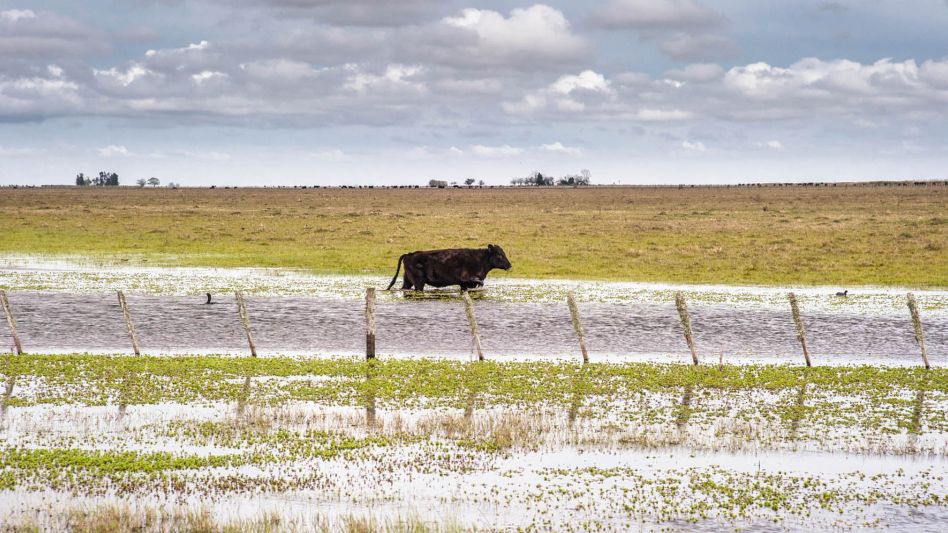 Las inundaciones que, sistemáticamente, castigan a los campos del país.