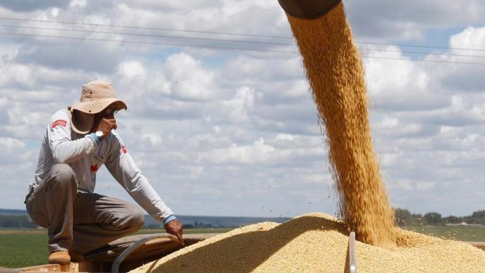 Un trabajador observa una máquina agrícola que vierte soja en un camión. AGENCIA XINHUA