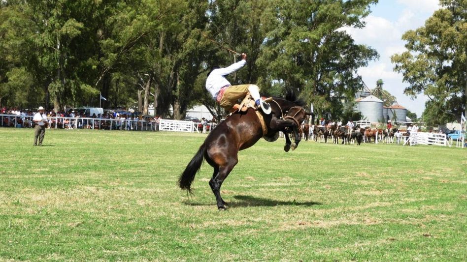 Villegas: aprueban ordenanza para regular jineteadas 