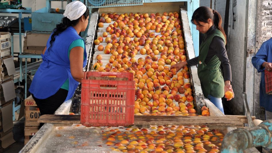 Programa de Fomento a la Fruticultura 2023 