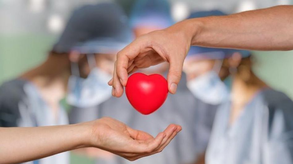 Actividades por el Día Nacional de la Donación de Órganos