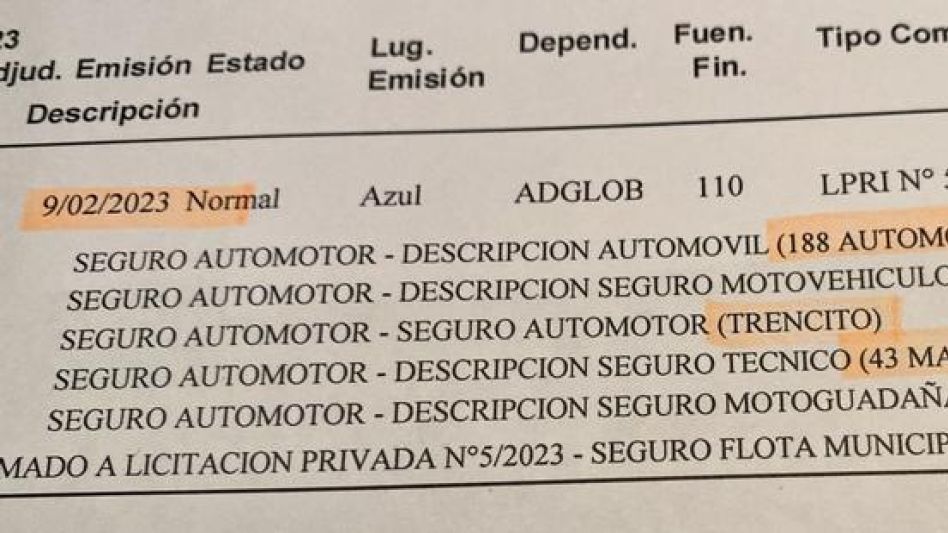 La planilla de RAFAM 2023 en la que se describe la cantidad de vehículos de propiedad municipal.