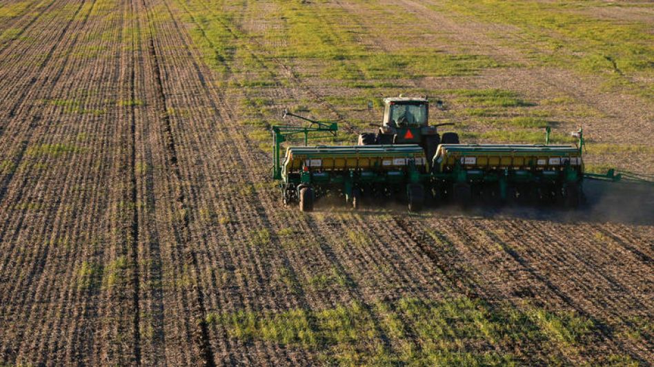 La Bolsa de Cereales de Buenos Aires hizo una corrección de 200.000 hectáreas a su proyección de superficie para la campaña de trigo 2023/24 de Argentina.