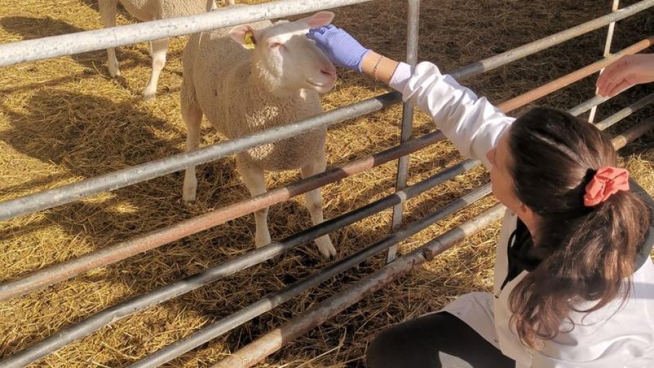 La azuleña trabajando en Portugal el año de la pandemia.  GENTILEZA JULIA BURGAN   