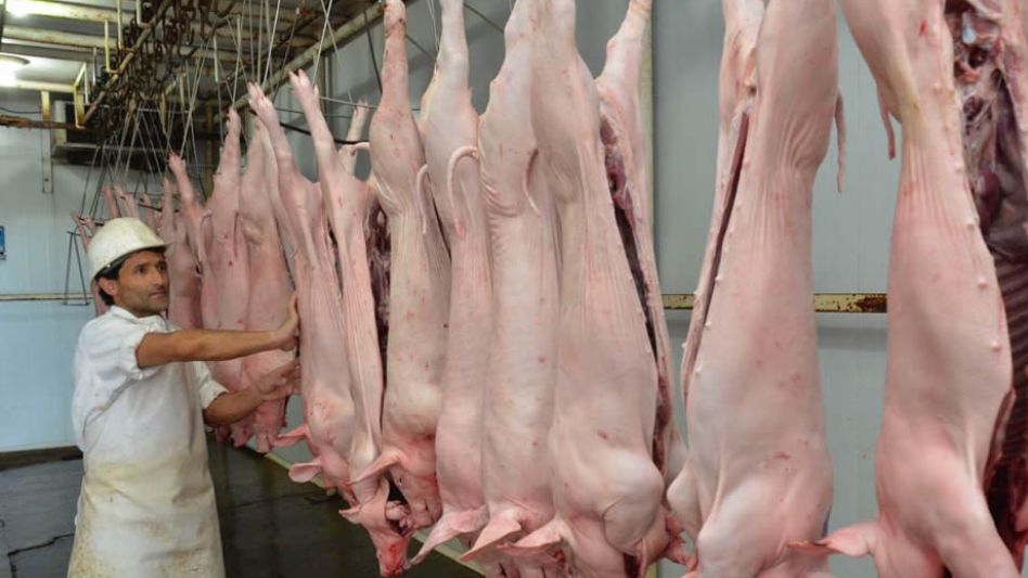 La faena de cerdos alcanzó en Argentina a 3,9 millones de cabezas en el primer semestre del año.