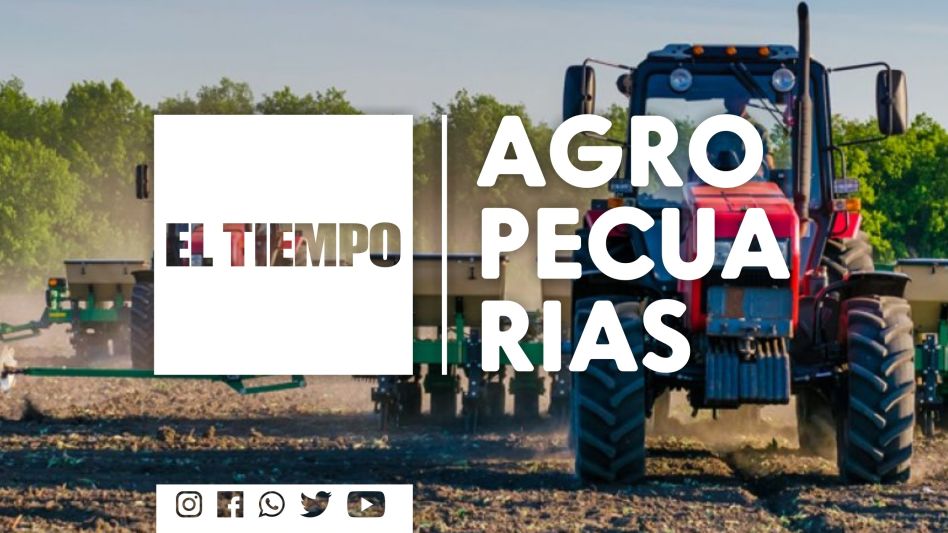 Culminó la cosecha de sorgo con menos toneladas que el año pasado