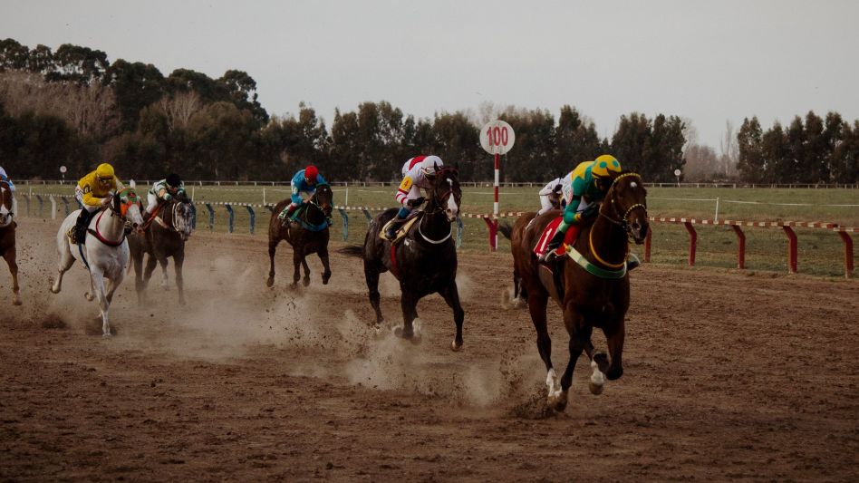 Con 111 caballos ratificados el domingo se realizará la décima reunión del año en el circo hípico local,. con la organización del Jockey Club.