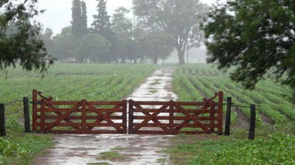 Ley de identificación de tranqueras: de qué se trata el proyecto de seguridad para monitorear los campos