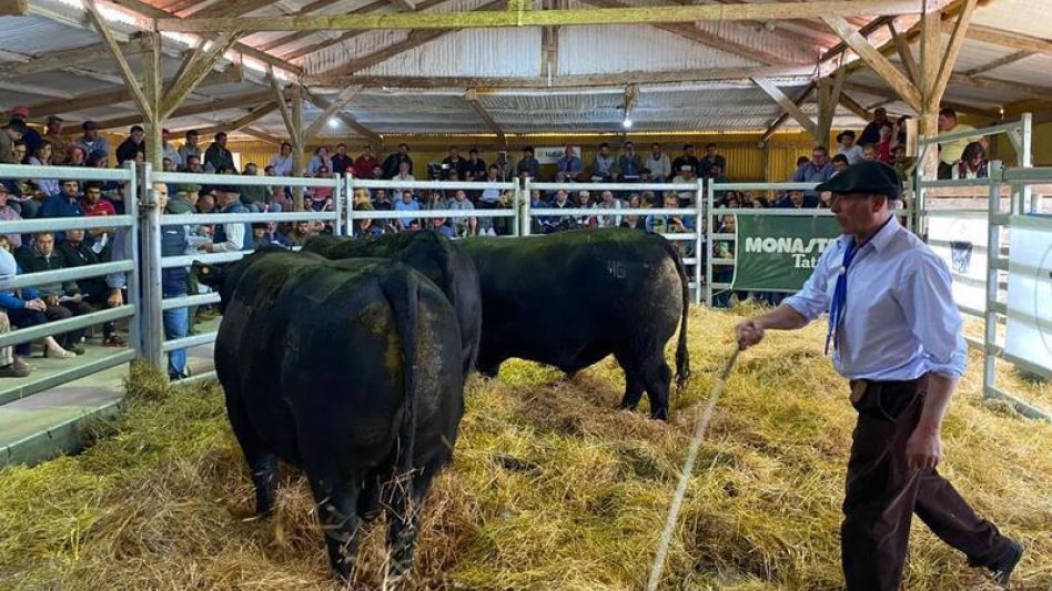 Los toros de La Amistad que despuntaron en Azul.