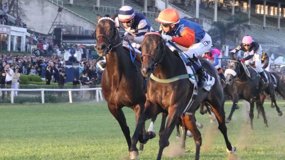 Happy Happy Day guapeó en el Jockey Club (G1) y fue uno de los ganadores en el Hipódromo de San Isidro. Foto: gentileza Diario Popular.
